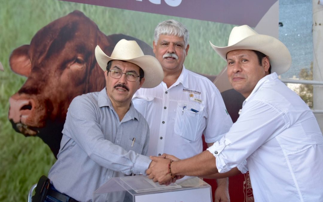 Renuevan ha ganaderos de Tamaulipas con Programa de Mejoramiento Genético