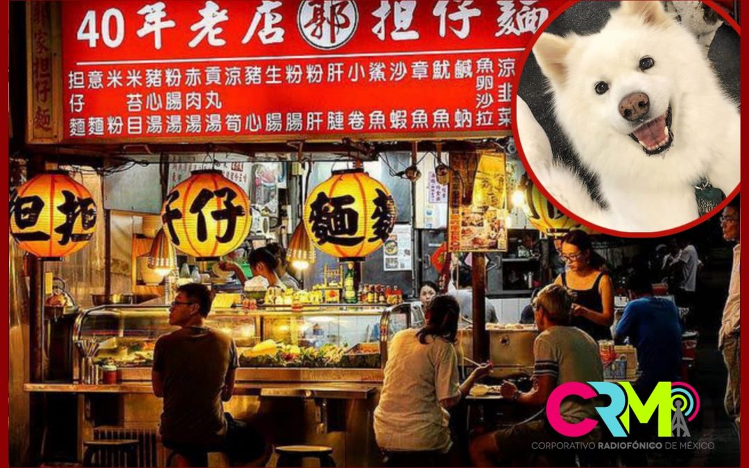 Aprueban ley para prohibir comer perros en Corea del Sur.