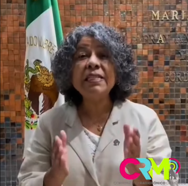 Diputada señala al PRI, PAN, MC y PVE de homofóbicos por votar en contra de su iniciativa de infancias trans.