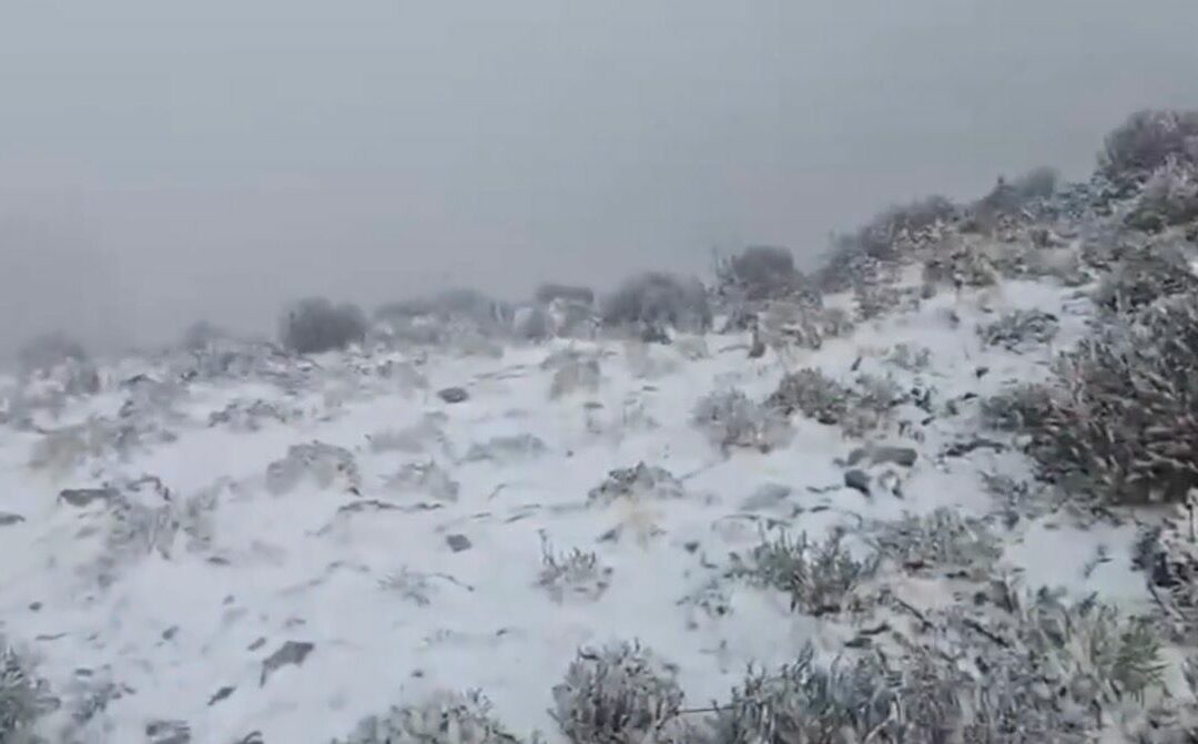CAÍDA DE NIEVE EN NUEVO LEÓN