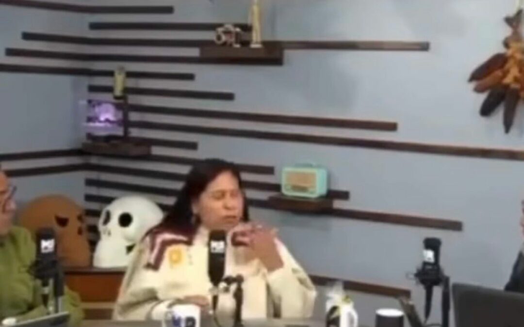Senadora llama estúpidos a quienes cuestionen su trabajo y asegura tener campaña en su contra.