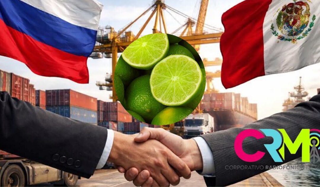 Productores de Veracruz concretan primera exportación de limón persa a Rusia.