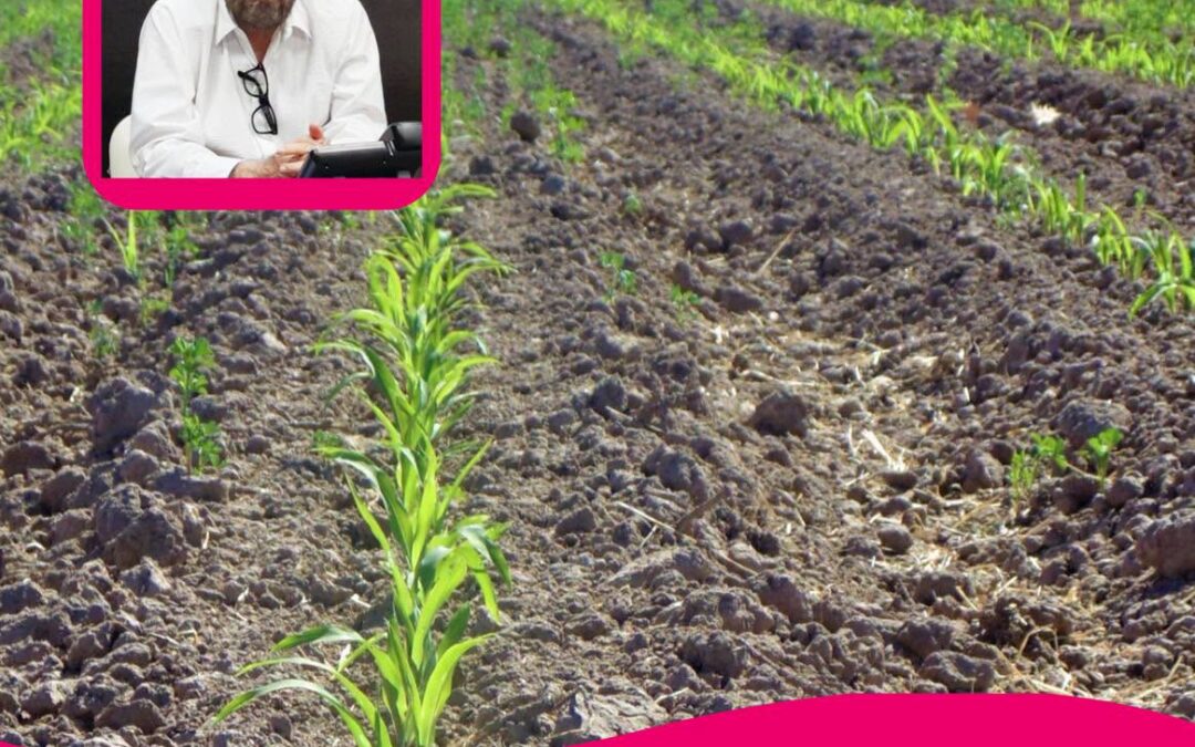 El secretario de Recursos Hidráulicos Raúl Quiroga Álvarez, informó que no se prevén restricciones en el suministro de agua para el próximo ciclo agrícola en las regiones centro y sur del estado, gracias a los altos niveles de almacenamiento que registran las principales presas.