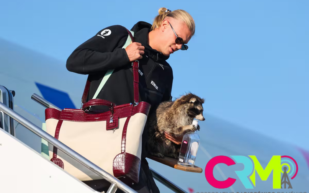 Llega Erling Haaland a Noruega junto con un amigo