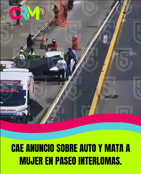 CAE ANUNCIO SOBRE AUTO Y MATA A MUJER EN PASEO INTERLOMAS