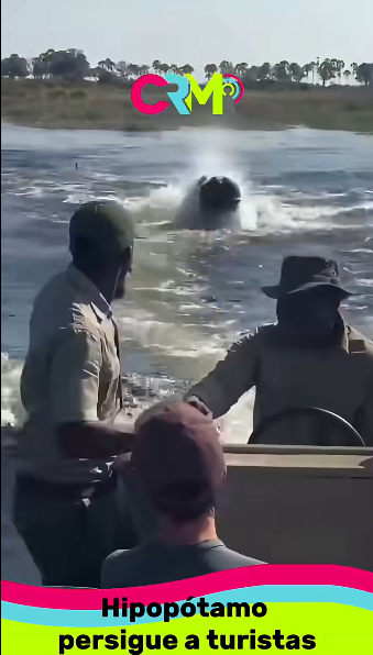 Hipopótamo persigue a turistas.